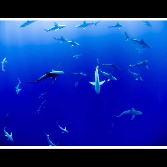 🌸new stuff soon!!!🌸 - Picture 12 of 16